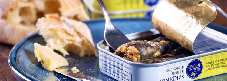 Tout savoir sur la sardine de la Compagnie Bretonne